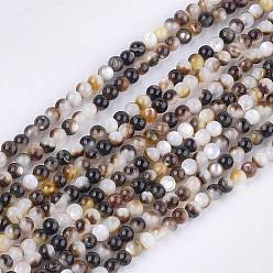 Black Black Lip Shell Beads Strands, Round, Black, 3mm, Hole: 0.6mm, about 133pcs/strand, 15.7 inch