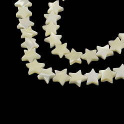 Other Sea Shell Star Shape Natural Sea Shell Beads Strands, 12~13x12~13x3~4mm, Hole: 1mm, about 38pcs/strand, 15.3 inch
