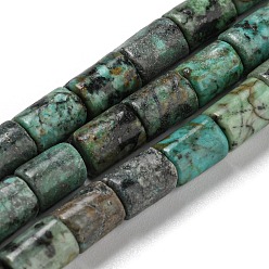 Turquoise Africaine Brins de perles turquoises africaines naturelles (jaspe), colonne, 7.5~8x6mm, Trou: 1.2mm, Environ 48~50 pcs/chapelet, 15.16''~15.31'' (38.5~38.9 cm)