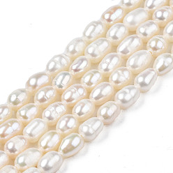 Seashell Color Natural Cultured Freshwater Pearl Beads Strands, Rice, Seashell Color, 5.5~9x4~5.5mm, Hole: 0.6mm, about 56~57pcs/strand, 13.94 inch~14.17 inch(35.4cm~36cm)