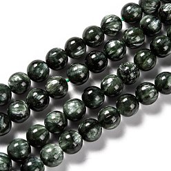 Seraphinite Natural Seraphinite Beads Strands, Round, Grade A, 12mm, Hole: 1.2mm, about 33pcs/strand, 15.51 inch(39.4cm)