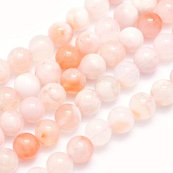Cherry Blossom Agate Natural Cherry Blossom Agate Beads Strands, Round, 6mm, Hole: 0.8mm, about 67pcs/strand, 15.9 inch(40.5cm)