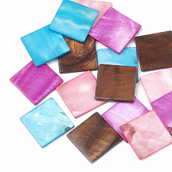Color mezclado Cabochons de concha de agua dulce, teñido, plaza, color mezclado, 23x23x2 mm