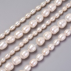 Blanc Brins de perles de culture d'eau douce naturelles, riz, blanc, 5~11x5~11mm, Trou: 0.5~1mm, Environ 28~56 pcs/chapelet, 13.39 pouces ~ 14.17 pouces (34~36 cm)