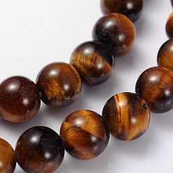 Tiger Eye Gemstone Beads Strands, Grade AB+ Tiger Eye, Round, about 8mm in diameter, hole: about 1mm, 15~16 inch