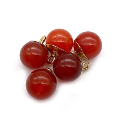 Carnelian Natural Carnelian Round Charms with Golden Plated Metal Findings, 15x10mm