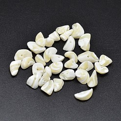 Beige Perles de chips de pépites de coquillages naturels teints, beige, 9~14x6~10mm, Trou: 1mm, environ560 pcs / 500 g