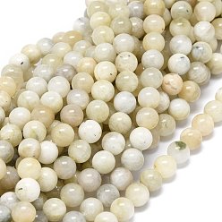 Rainbow Moonstone Natural Rainbow Moonstone Beads Strands, Round, 8~8.5mm, Hole: 1mm, about 46~49pcs/strand, 15.55 inch(39.5cm)