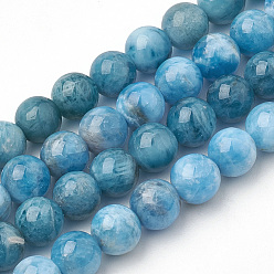 Apatite Natural Apatite Beads Strands, Round, 8x7.5mm, Hole: 1mm, about 46~49pcs/strand, 15.5 inch