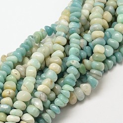 Amazonite Natural Amazonite Nuggets Beads Strands, 7~9x7~9mm, Hole: 1mm, about 72~83pcs/strand, 15.7 inch