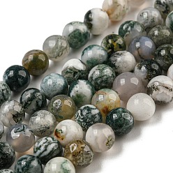 Bâche Brins de perles rondes en agate d'arbre naturelle, 6.5mm, Trou: 1mm, Environ 63 pcs/chapelet, 15.5 pouce