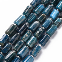 Apatite Perles naturelles apatite brins, facette, colonne, 8~11x6~8x5~7mm, Trou: 1mm, Environ 15~17 pcs/chapelet, 7.28~7.48 pouce