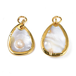 Seashell Color Natural White Shell Pendants, with Light Gold Plated Brass Edge, Teardrop, Seashell Color, 17~21x10~22x3.5~8.5mm, Jump Ring: 6x0.5mm, Inner Diameter: 5mm