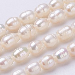 Seashell Color Natural Cultured Freshwater Pearl Beads Strands, Oval, Seashell Color, 6~7x5mm, Hole: 0.5mm, about 48pcs/strand, 13.2 inch