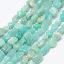 Amazonite Chapelets de perles amazonite naturelles  , pierre tombée, nuggets, 6~8x4~6mm, Trou: 1mm, 15.3 pouce (39 cm)