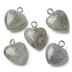 Labradorite Natural Labradorite Pendants, Heart Charms with Platinum Plated Brass Loops, 14.8~15x12x4.1~4.6mm, Hole: 2mm