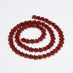 Carnelian Natural Carnelian Star Beads Strands, for Energy Stabilization, 8x3mm, Hole: 1mm, about 51pcs/strand, 15.3 inch