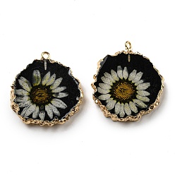 Black Inner Dried Flower Resin Pendants, Flat Round Charms with Light Gold Plated Brass Edge and Iron Loops, Black, 34~36x30~31.5x4.5~5.5mm, Hole: 2mm