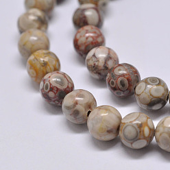 Maifanite Natural Maifanite/Maifan Stone Beads Strands, Round, 4mm, Hole: 1mm, about 90pcs/strand, 15.1 inch
