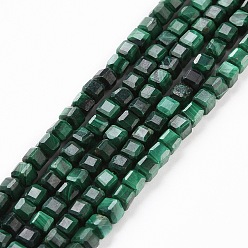 Malachite Natural Malachite Beads Strands, Faceted, Cube, 2.5x2.5x2.5mm, Hole: 0.5mm, about 186~188pcs/strand, 15.16~15.35 inch(38.5~39cm)