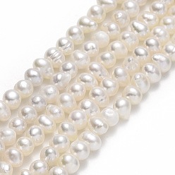 Beige Hilos de perlas de agua dulce cultivadas naturales, patata, crema, 2.5~3.5x3~4x3~4 mm, agujero: 0.5 mm, sobre 117~133 unidades / cadena, 13.98~15.47 pulgada (35.5~39.3 cm)