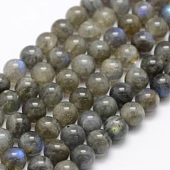 Labradorite Chapelets de perles labradorite naturelle , Grade A +, ronde, 8mm, Trou: 1mm, Environ 49 pcs/chapelet, 15.3 pouce (39 cm)