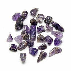 Amethyst Natural Amethyst Gemstone Beads, Tumbled Stone, Nuggets, No Hole/Undrilled, 10~22x8~12x4~7mm