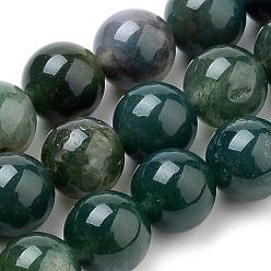 Agate Mousse Naturelles agate perles brins, ronde, 10mm, Trou: 1mm, Environ 37 pcs/chapelet, 14.76 pouce (37.5 cm)