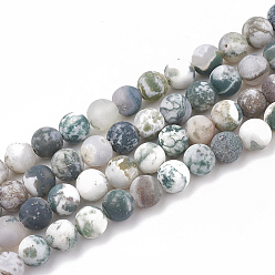 Tree Agate Natural Tree Agate Beads Strands, Frosted, Round, 6mm, Hole: 1mm, about 63pcs/strand, 15.5 inch
