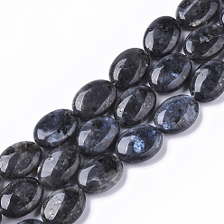 Larvikite Brins de perles de larvikite naturelles, ovale, 18x13.5x6~7mm, Trou: 1.2mm, Environ 20~22 pcs/chapelet, 15.55 pouces (39.5 cm)