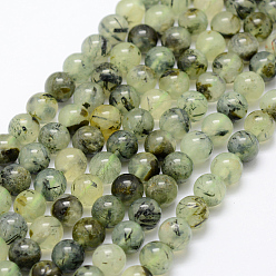 Prehnite Natural Prehnite Beads Strands, Round, Grade AB, 12mm, Hole: 1mm, about 32pcs/strand, 15.1 inch(38.5cm)