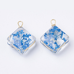 Dodger Blue Glass Pendants, with Dried Flower Inside & Brass Findings, Rhombus, Golden, Dodger Blue, 21~22x16x9mm, Hole: 2mm