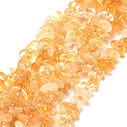 Citrine Natural Citrine Stone Beads Strands, Nuggets, 8~11x9~14x1.5~5mm, Hole: 0.8mm, about 74pcs/strand, 15.55''(39.5cm)