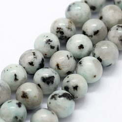 Jaspe Sésame Jaspe de sésame naturel / perles de jaspe kiwi, ronde, 6~6.5mm, Trou: 0.5mm, Environ 63 pcs/chapelet, 14.96 pouce (38 cm)
