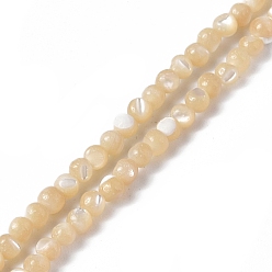 BurlyWood Natural Trochid Shell/Trochus Shell Beads Strands, Round, BurlyWood, 3mm, Hole: 0.8mm, about 128pcs/strand, 15.28 inch(38.8cm)