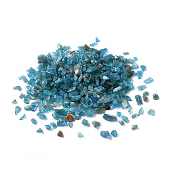 Apatite Natural Apatite Chip Beads, No Hole/Undrilled, 2~12x2~10x1~3mm, about 11200pcs/1000g