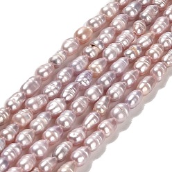 Chardon Brins de perles de culture d'eau douce naturelles, riz, Grade A +, chardon, 5.5~7x3~3.5x3~3.5mm, Trou: 0.6mm, Environ 61~71 pcs/chapelet, 13.98~14.06 pouce (35.5~35.7 cm)