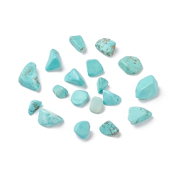 Synthetic Turquoise Synthetic Turquoise Beads, No Hole/Undrilled, Dyed, Chip, 5~13.5x4~6x3.5~4.5mm