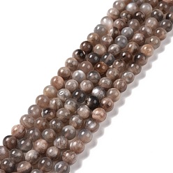 Multi-Moonstone Brins de perles multi-pierres de lune naturelles, ronde, 8mm, Trou: 1mm, Environ 48~51 pcs/chapelet, 15.3 pouces ~ 15.75 pouces (39~40 cm)