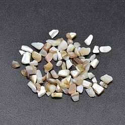 Pale Goldenrod Dyed Natural Freshwater Shell Chips Beads, Shell Shards, No Hole, Pale Goldenrod, 2~7x2~5mm, about 10600pcs/500g