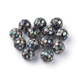 Noir Perles de coquillage paua naturel, ronde, noir, 12~12.5mm, Trou: 1mm