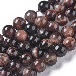 Coconut Brown Natural Tiger Eye Beads Strands, Dyed & Heated, Round, Coconut Brown, 6mm, Hole: 1mm, about 60pcs/strand, 14.3 inch(36.5cm)