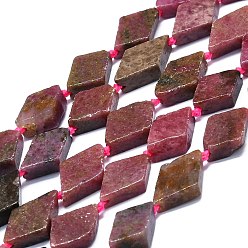 Rhodonite Natural Rhodonite Beads Strands, Rhombus, 20~22x12~13x4~5mm, Hole: 1mm, about 19pcs/strand, 16.73''(42.5cm)