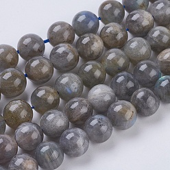 Labradorite Natural Labradorite Beads Strands,  Round, 10mm, Hole: 1mm