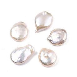 Blanc Floral Perles de keshi baroques naturelles, eau douce perles de nacre, sans trou, nuggets, floral blanc, 15~18x13~13.5x5~6mm