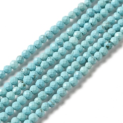 Sky Blue Natural Howlite Beads Strands, Dyed, Faceted, Round, Sky Blue, 3mm, Hole: 0.8mm, about 130~133pcs/strand, 15.39~15.75 inch(39.1~40cm)