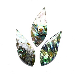 Colorful Natural Abalone Shell/Paua Shell Cabochons, Teardrop, Colorful, 52x21x5mm