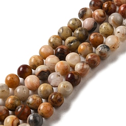 Loco Ágata Ágata loca naturales hebras de perlas ronda, 4 mm, agujero: 1 mm, sobre 46 unidades / cadena, 7.5 pulgada