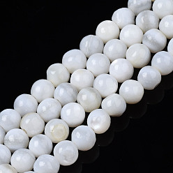 Color de la concha Cuentas de concha de perla natural hebras, teñido, rondo, color de concha, 4 mm, agujero: 0.4 mm, sobre 99~100 unidades / cadena, 14.92pulgadas~15.08pulgadas(37.9~38.3cm).