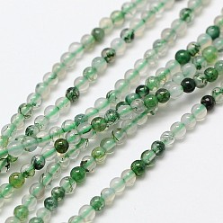Moss Agate Natural Moss Agate Bead Strands, Round, 2mm, Hole: 0.8mm, about 184pcs/strand, 16 inch